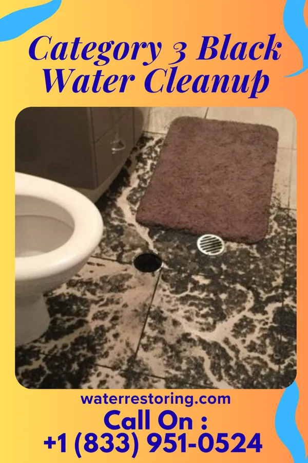 Category 3 Black Water Cleanup in LaFayette, KY