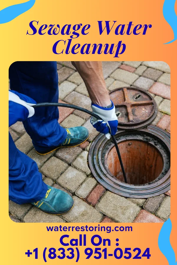 Sewage Water Cleanup in LaFayette, KY