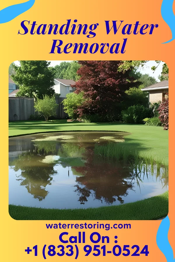 Standing Water Removal in LaFayette, KY